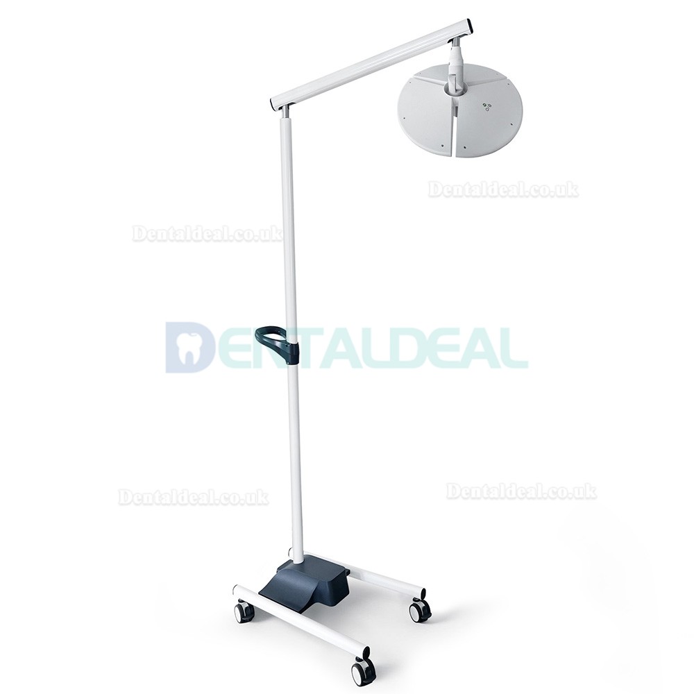 KWS KD-2036L-4 80W Mobile Dental LED Surgical Light Floor Standing